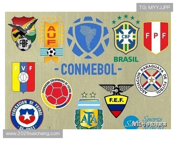 世界杯名额分配机制解析，不同洲际区的名额数量及其影响因素