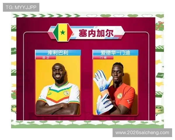 世界杯排名一览表最新更新，全面解析各国球队最新排名情况