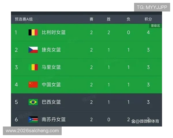 世界杯预选赛积分榜更新，助力球迷了解各队最新积分和晋级形势