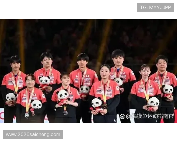 最新世界杯比分排名结果公布，全面解读各国家队的表现与排名变化